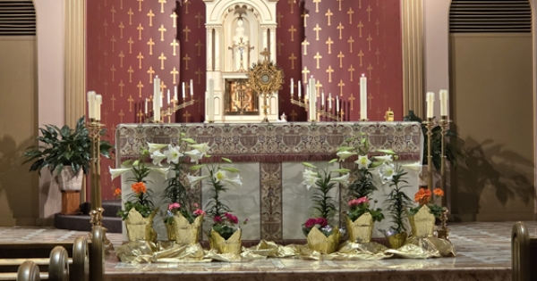 Art & Environment/Church Decorators